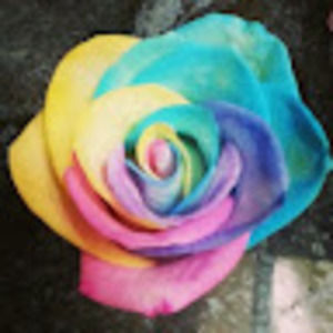 Meet your Posher, Wendy